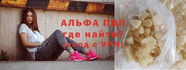 ECSTASY Белокуриха