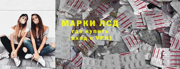 ECSTASY Белокуриха