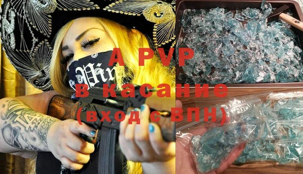 ECSTASY Белокуриха