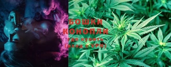 ECSTASY Белокуриха