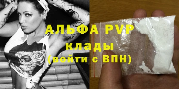 ECSTASY Белокуриха
