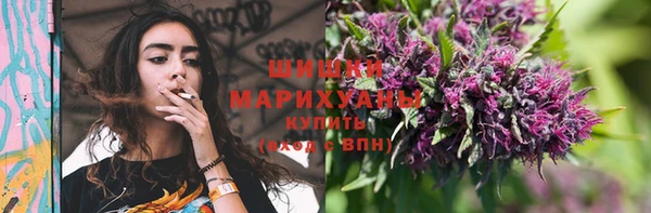 ECSTASY Белокуриха