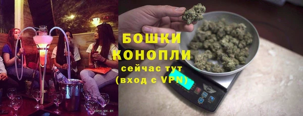 ECSTASY Белокуриха